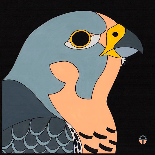 Peregrine Falcon