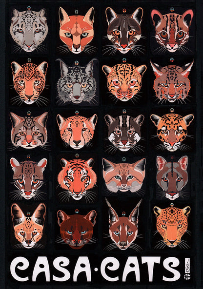Casa Cats Poster