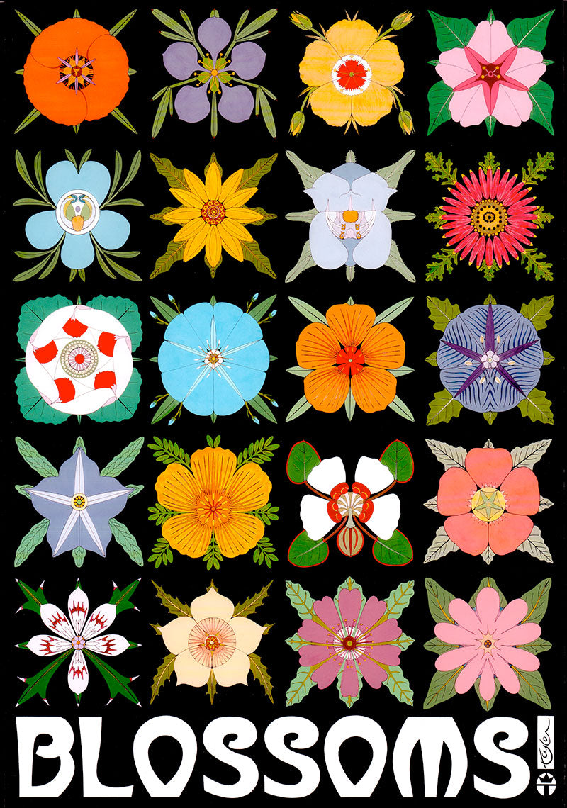 13" x 19" poster by wil taylor features blossoms of many desert plants