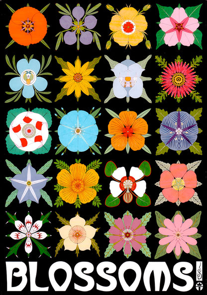 13" x 19" poster by wil taylor features blossoms of many desert plants