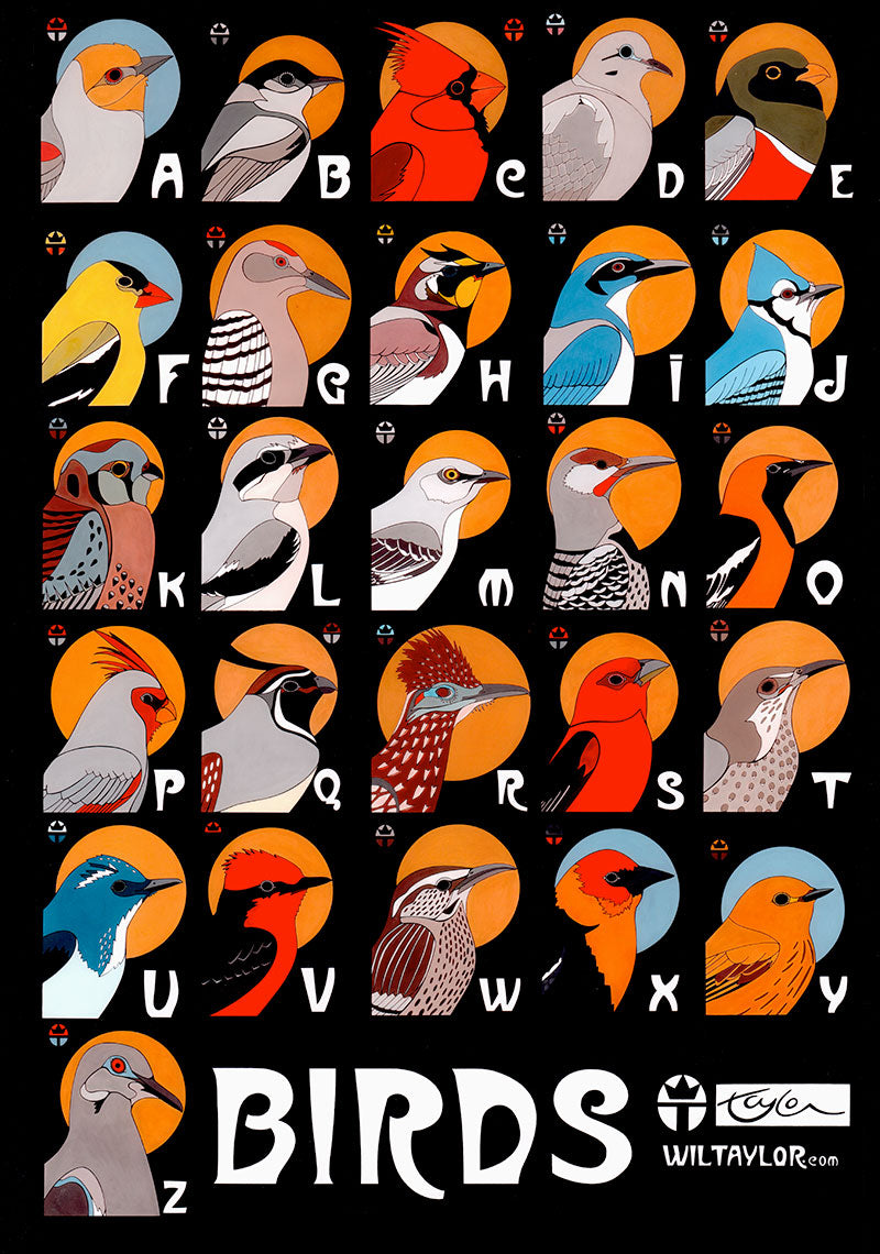 Birds Poster
