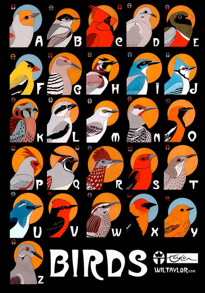 Birds Poster