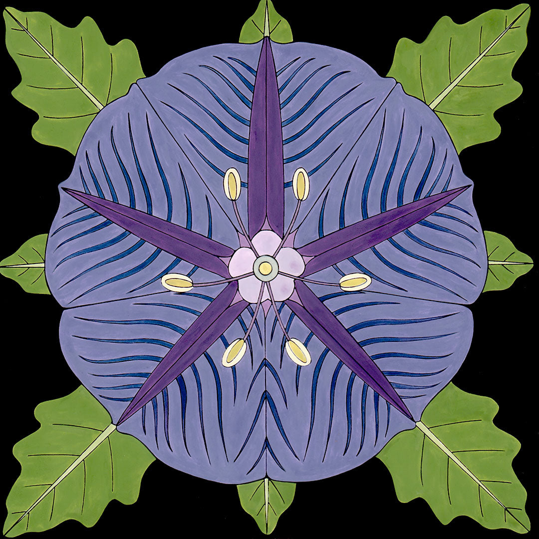 purple groundcherry blossom. original art by wil taylor