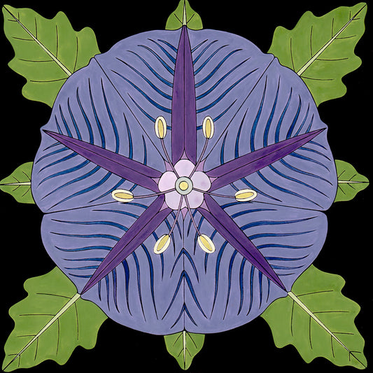 purple groundcherry blossom. original art by wil taylor