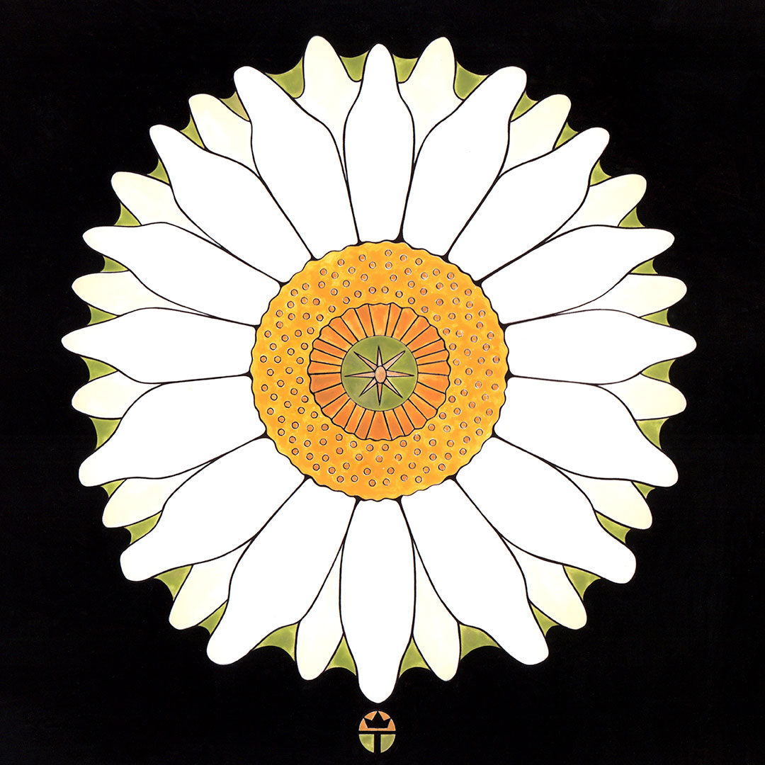 saguaro blossom flower. print by wil taylor. 12"x12"