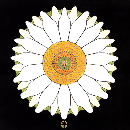 saguaro blossom flower. print by wil taylor. 12"x12"