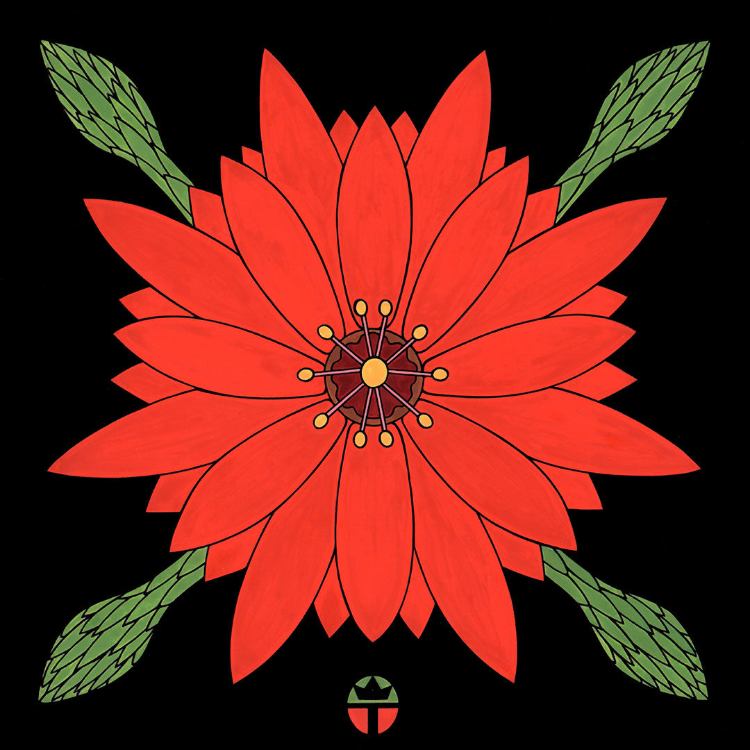 Blossom from Sirius - a desert cactus. artwork by tucson artist wil taylor