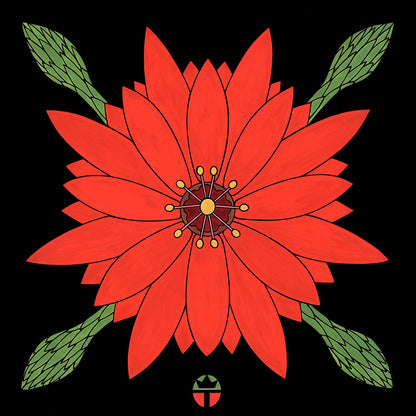 Blossom from Sirius - a desert cactus. artwork by tucson artist wil taylor