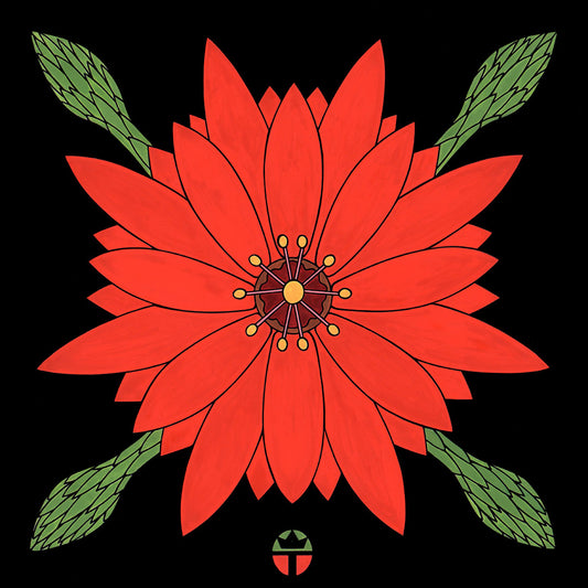 Blossom from Sirius - a desert cactus. artwork by tucson artist wil taylor