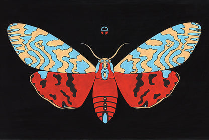 Tiger Moth