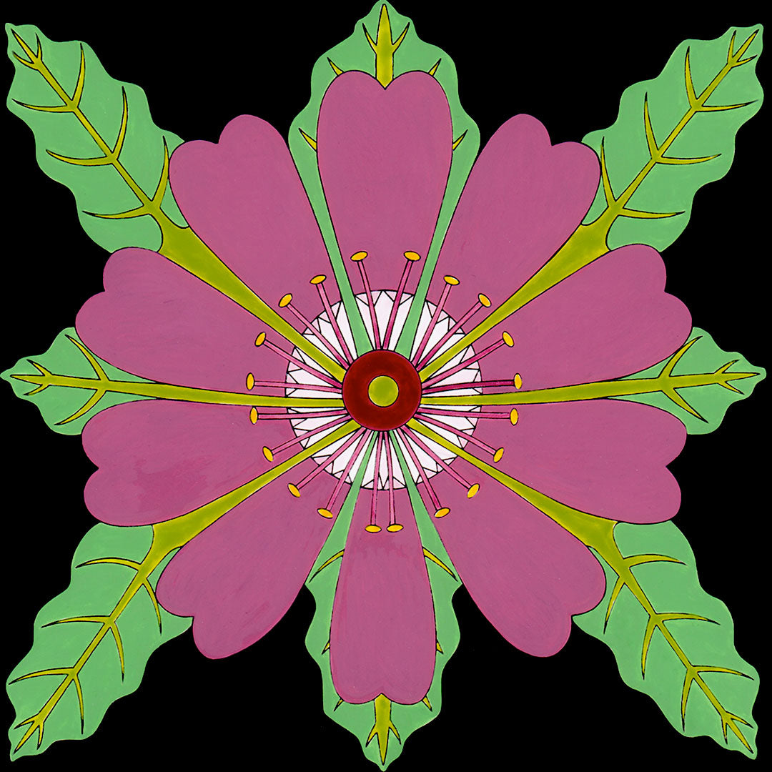 trailing 4 oclock flower print. mandala style by wil taylor