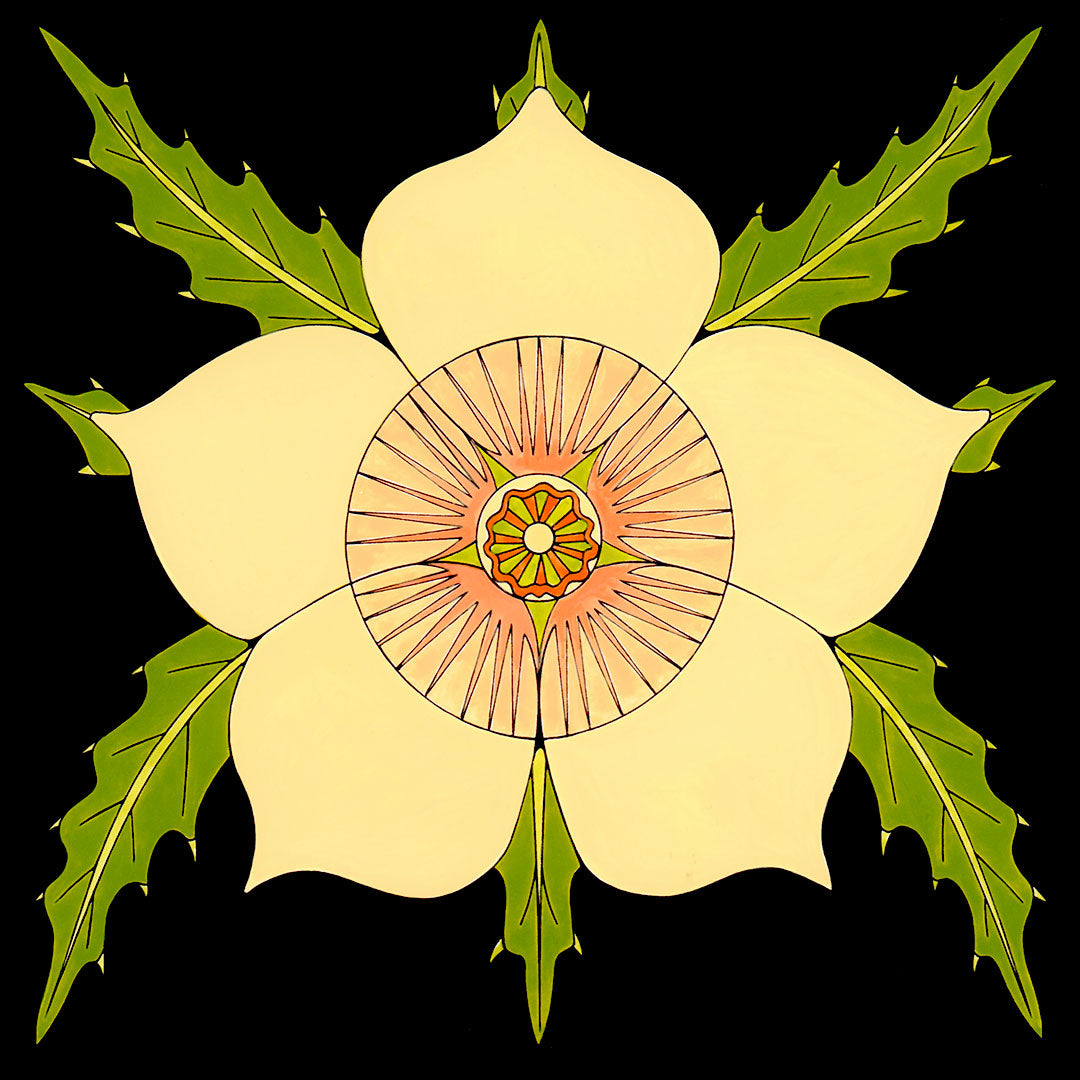 white bracketed stick leaf flower by wil taylor. signed print is 12 inches x 12 inches