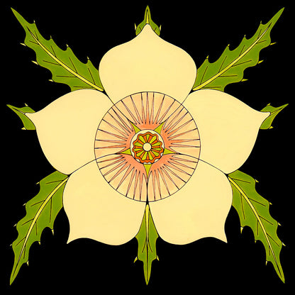 white bracketed stick leaf flower by wil taylor. signed print is 12 inches x 12 inches