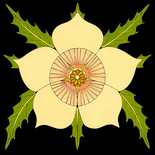 white bracketed stick leaf flower by wil taylor. signed print is 12 inches x 12 inches